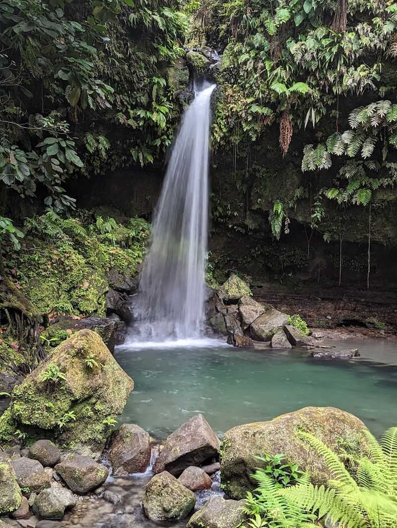 Emerald Pools, Dominica Emerald Pools, Dominica