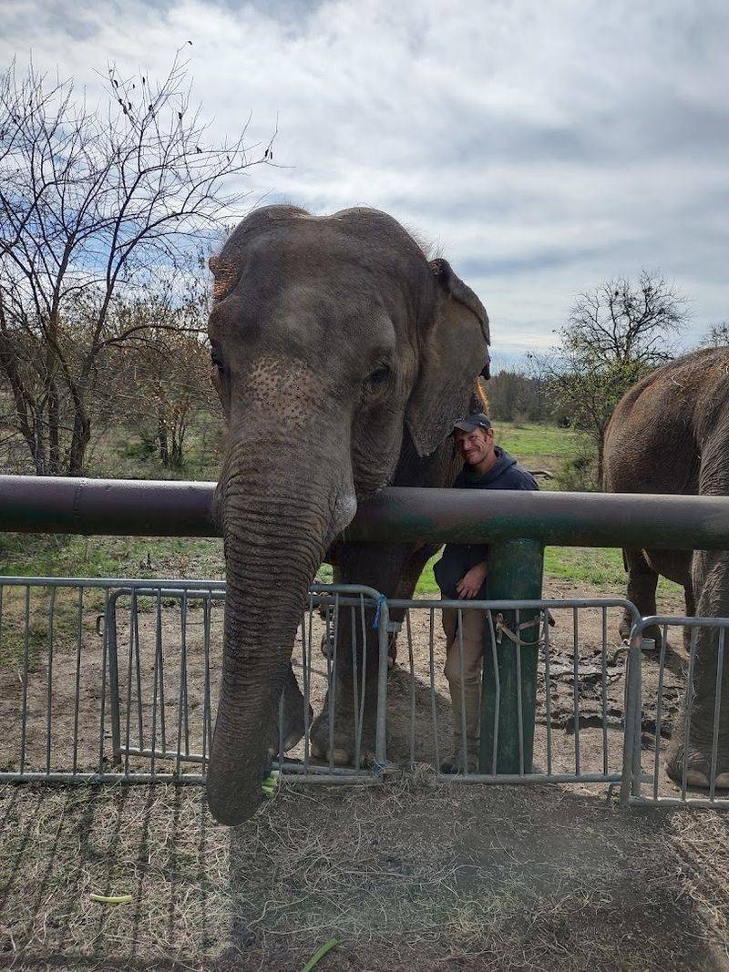 Endangered Ark Foundation — Hugo, Oklahoma