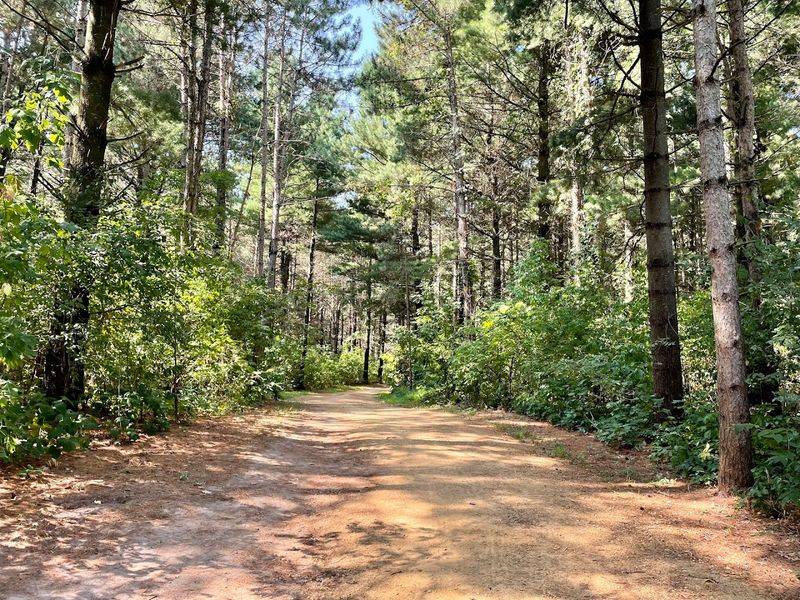Equestrian Trails Through the Quietest Corners