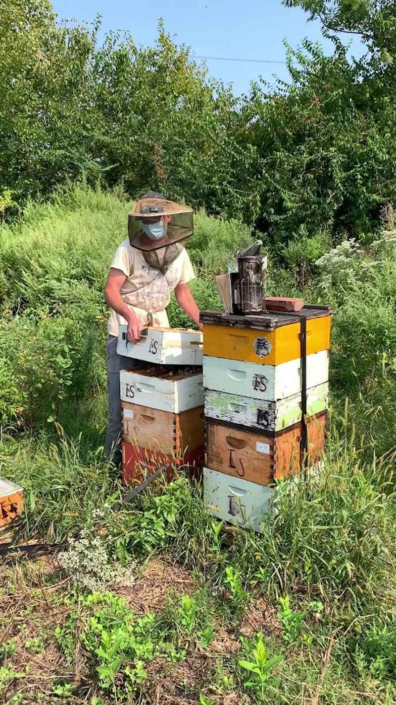 Events, Programs, and the Philadelphia Honey Festival