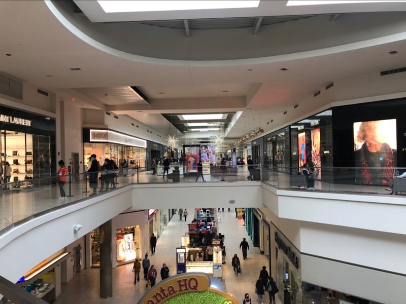 Everyday Brands and Mid-Range Finds