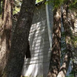 Explore 10 Oregon Ghost Towns on a Road Trip Filled With Mystery, Legends, and Eerie Ruins
