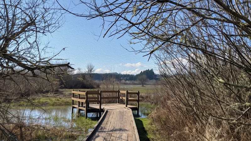 Explore Jackson Frazier Wetland