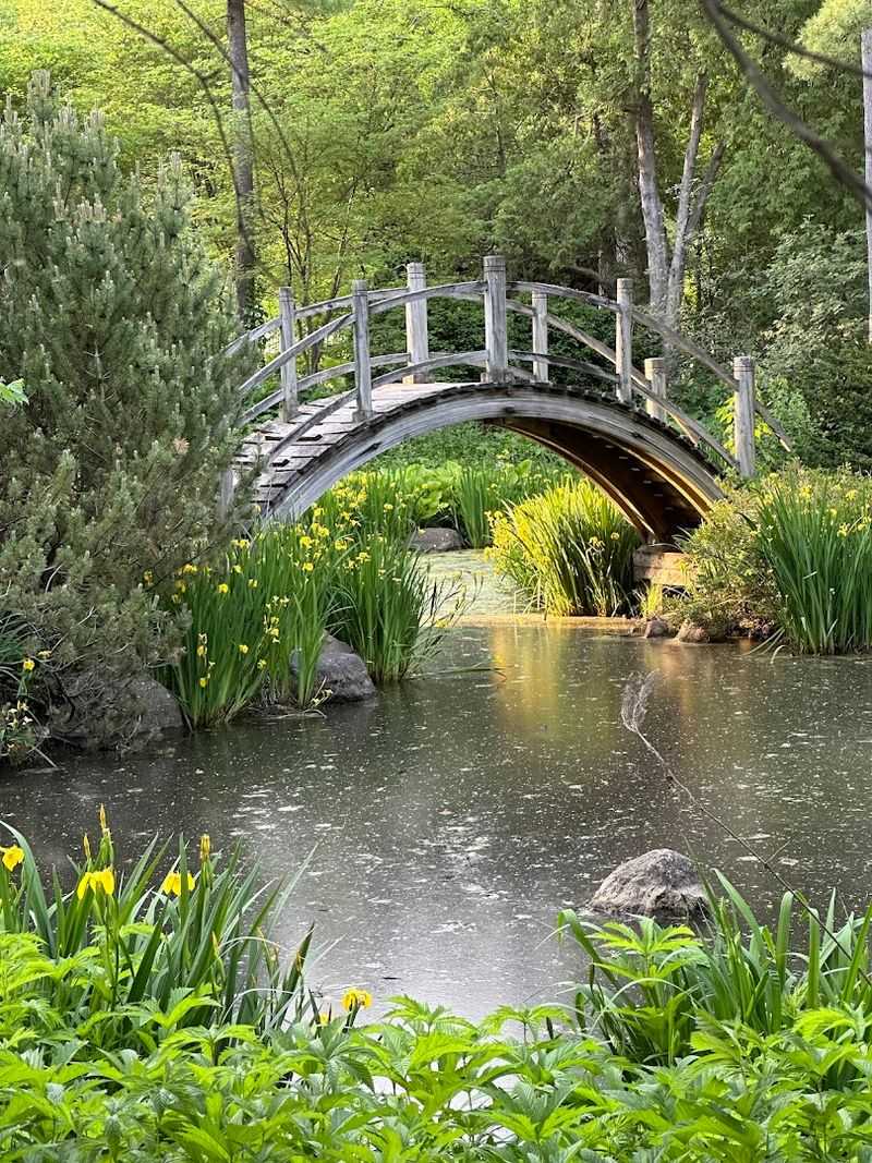 Fabyan Forest Preserve: Nature, History, and a Japanese Garden Fabyan Forest Preserve: Nature, History, and a Japanese Garden