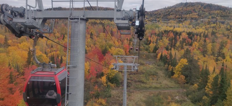Fall Color Season: When the Hillsides Catch Fire