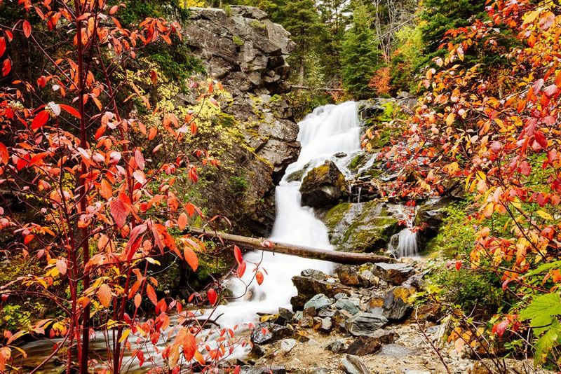 Fall Color Season and Why the Aspen Groves Are Worth the Timing