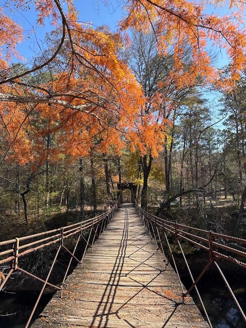 Fall Color That Rivals the Appalachians