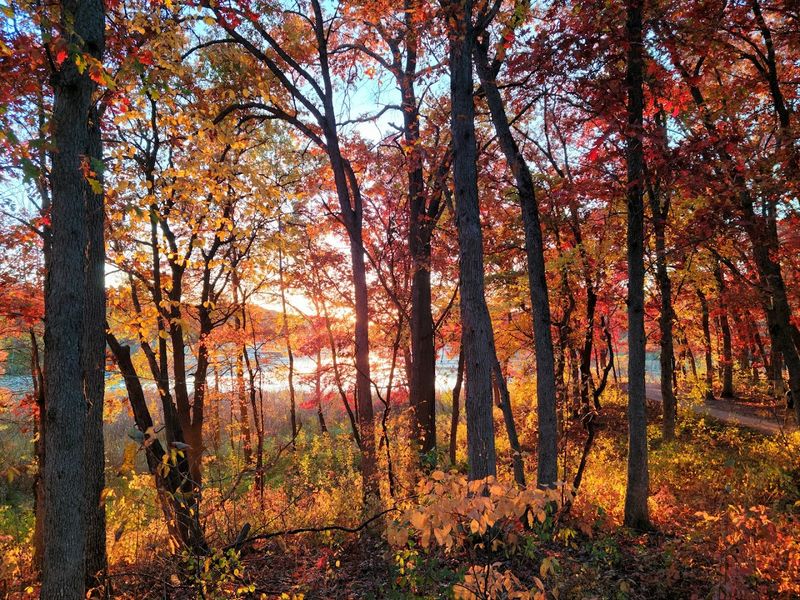 Fall Colors That Make Every Step Feel Worth It