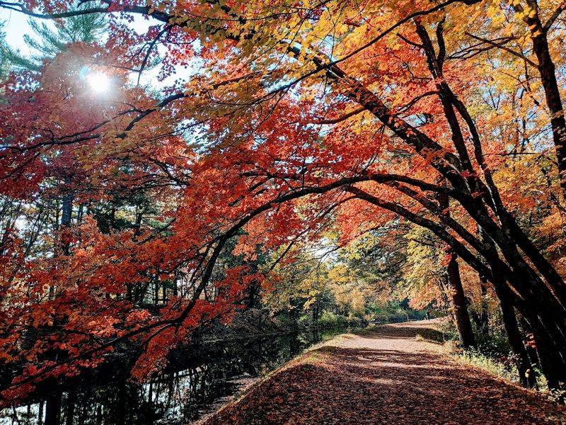 Fall Colors That Turn Every Trail Into a Scene Worth Photographing Fall Colors That Turn Every Trail Into a Scene Worth Photographing