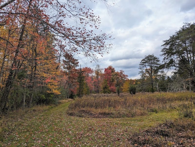 Fall Colors and the Arboretum's Quieter Second Season
