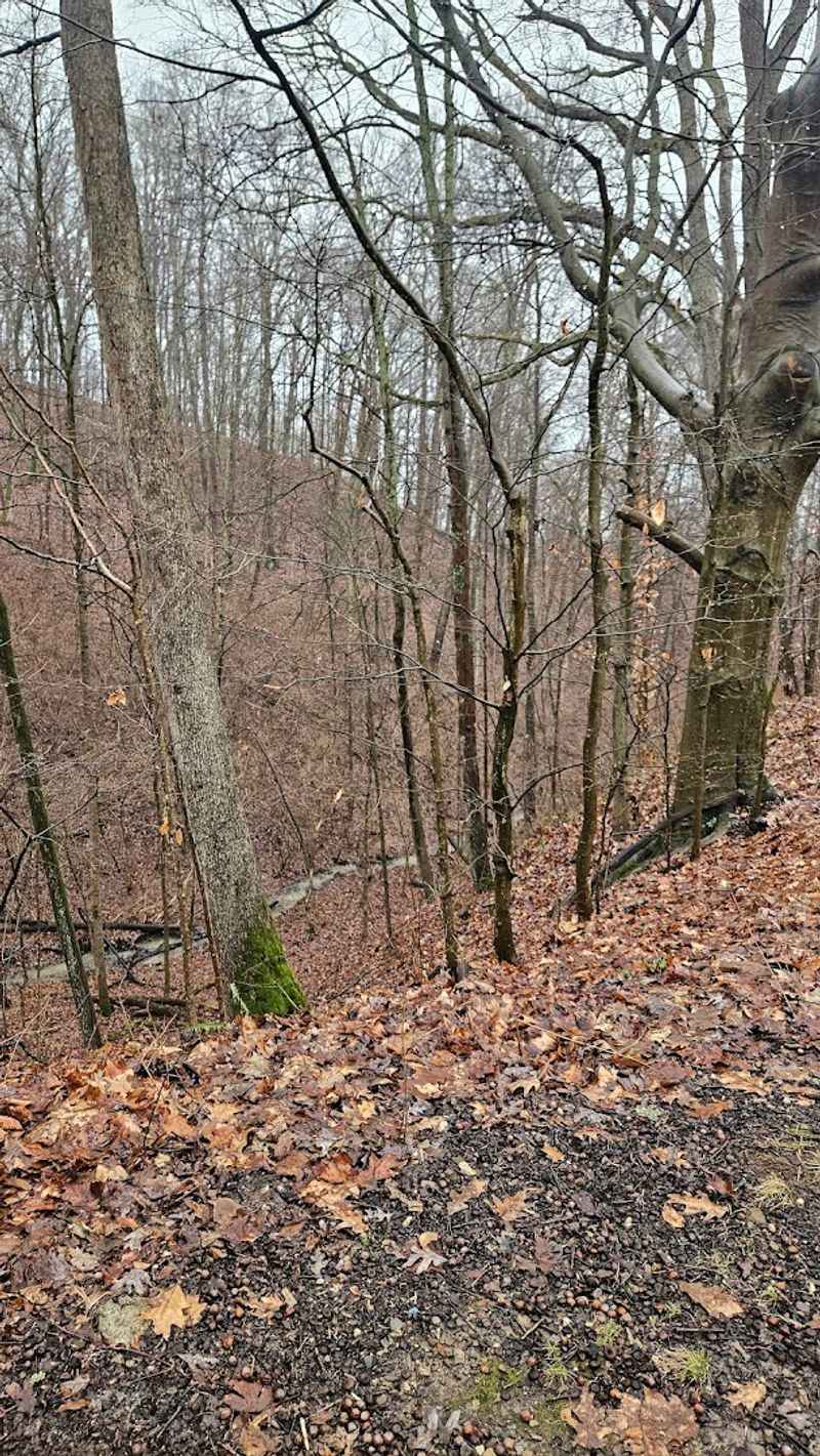 Fall Foliage Season: When the Property Truly Shines Fall Foliage Season: When the Property Truly Shines