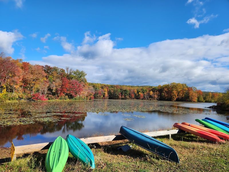 Fall Foliage That Puts the Park on Another Level Fall Foliage That Puts the Park on Another Level