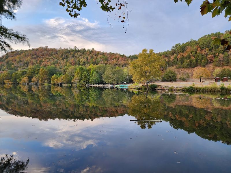 Fall Foliage That Turns the Whole Park Gold and Red