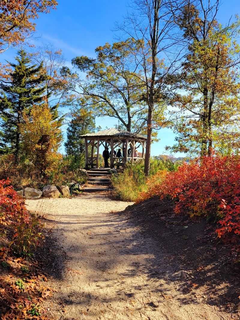 Fall Foliage That Turns the Whole Park Golden