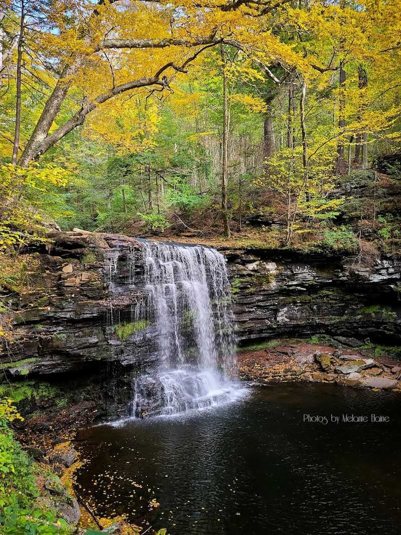 Fall Foliage Turns the Park Into a Color Spectacle