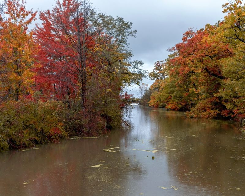 Fall Foliage and Off-Season Magic