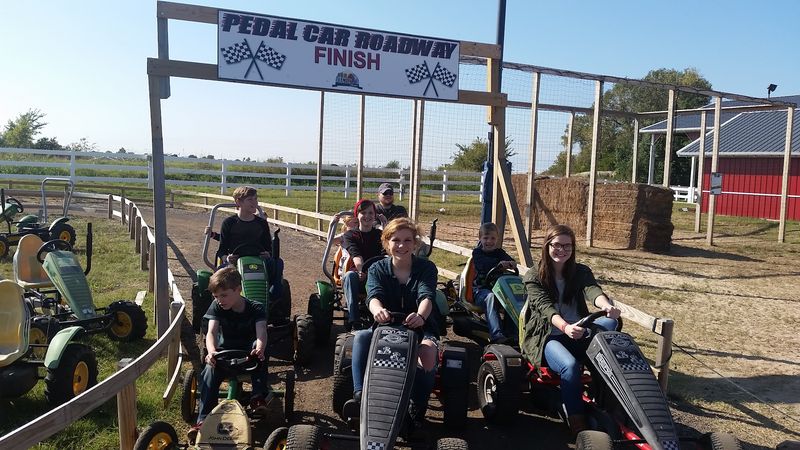 Farm Activities That Keep Everyone Moving