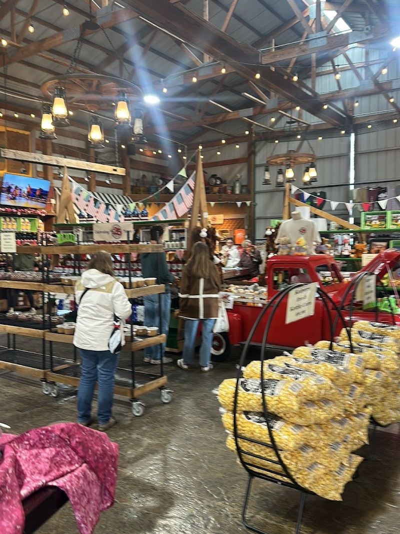 Farm Animals and Kid-Friendly Attractions: A Gentle Side of the Property