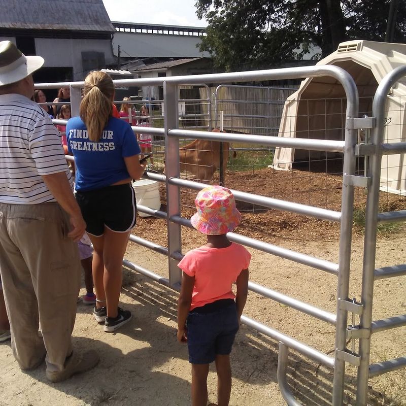 Field Trips, Hayrides, and Learning on the Farm Field Trips, Hayrides, and Learning on the Farm