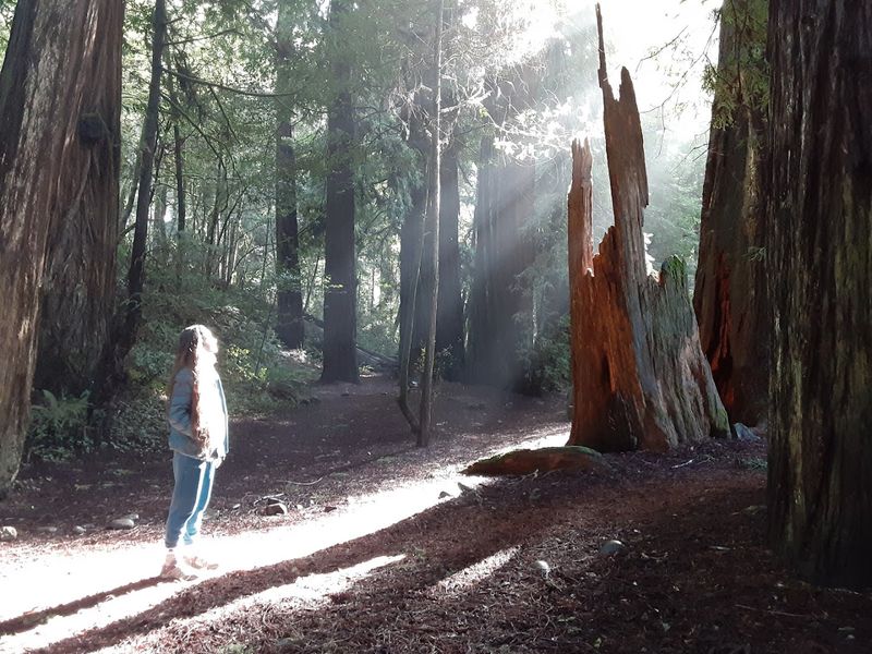 Final Thoughts on Why This Trail Is Worth the Trip