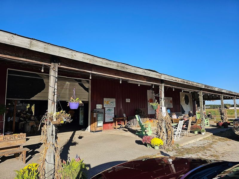 Finding Vollmer Farm: Address, Location, and First Impressions Finding Vollmer Farm: Address, Location, and First Impressions