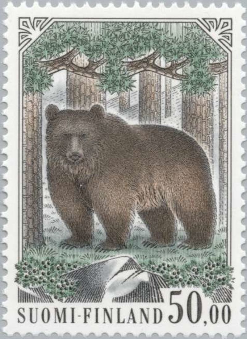 Finland: The Brown Bear Finland: The Brown Bear