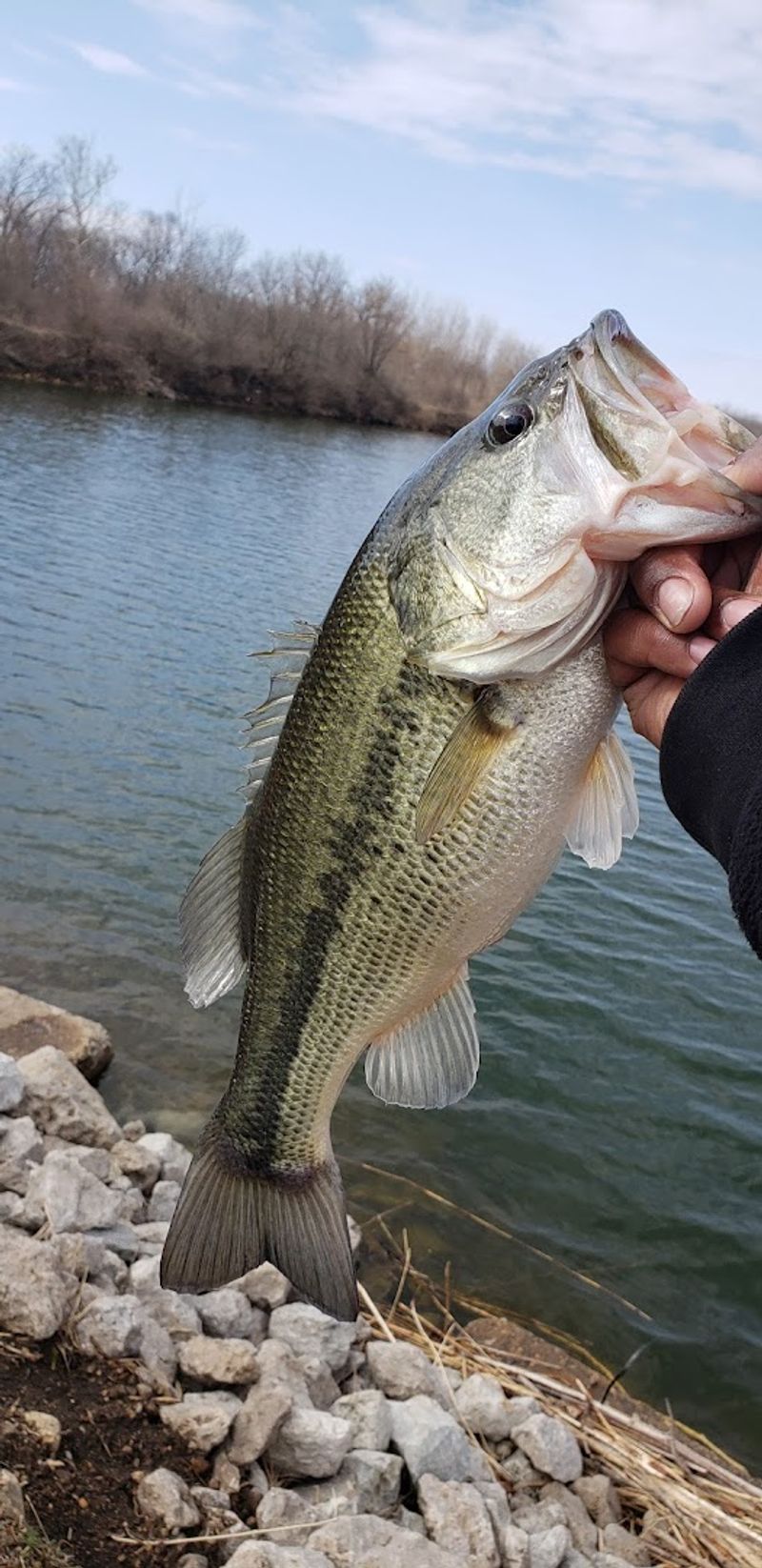 Fishing Along the Rivers and Canal: Cast a Line and Stay a While