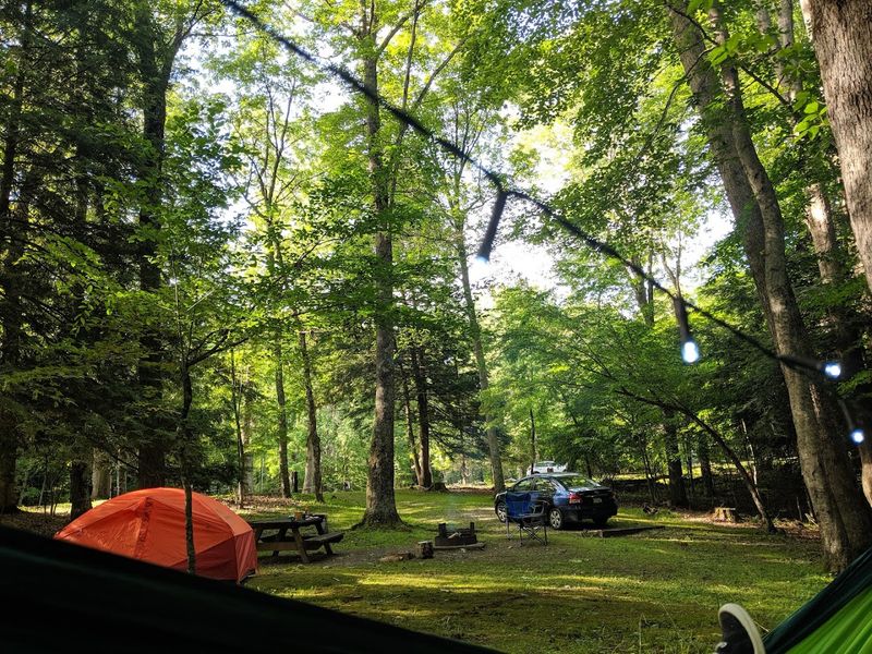 Fishing, Camping, and a Pond That Earns Its Keep