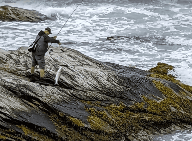Fishing, Cycling, and Getting Active on the Grounds