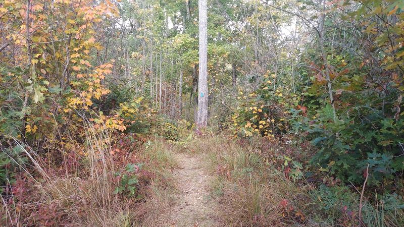 Fishing, Hiking, and All the Ways to Fill Your Days