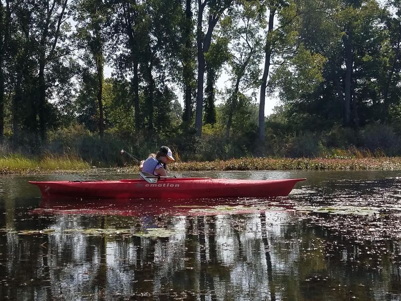 Fishing Spots That Reel in Perch, Walleye, and Bass