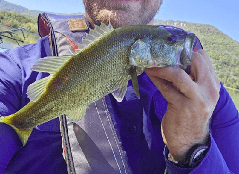 Fishing at Nickajack Lake