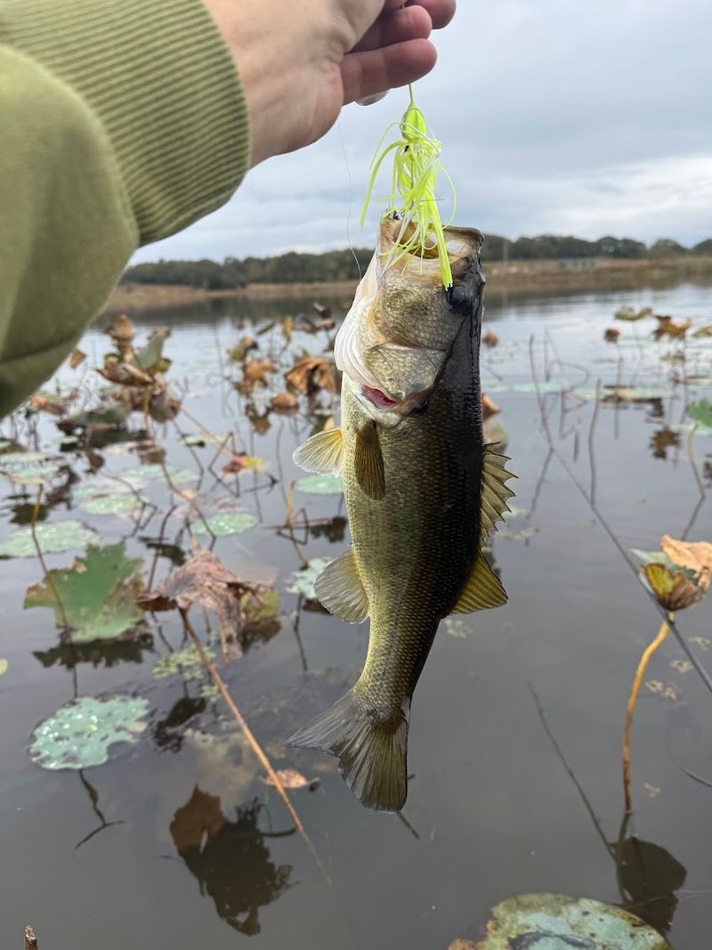 Fishing on the Ranch: A Bonus for Anglers