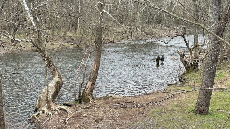 Fishing the Creek From Bank to Bend Fishing the Creek From Bank to Bend