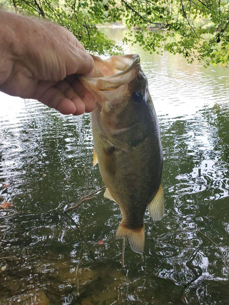 Fishing the Lake From Shore or Boat Is a Real Treat Fishing the Lake From Shore or Boat Is a Real Treat
