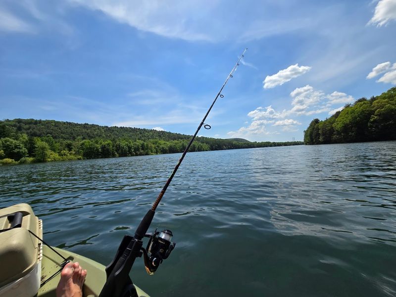 Fishing the Lake: What Lives Beneath That Clear Water