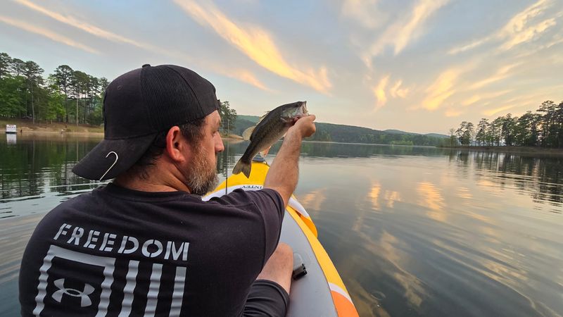 Fishing the Lake: What's Biting and Why Anglers Keep Coming Back