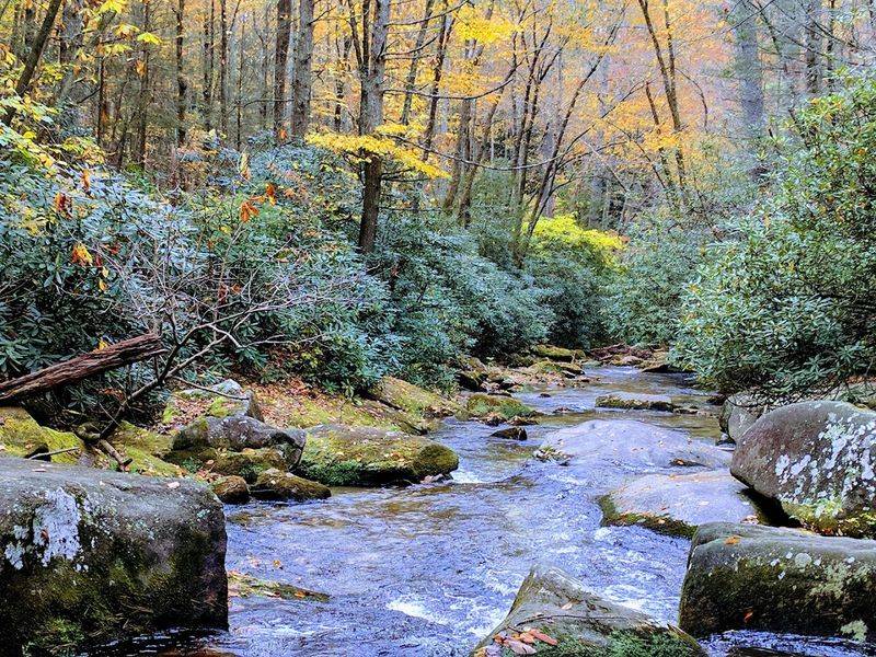 Fishing the Park's Streams and Creeks Fishing the Park's Streams and Creeks