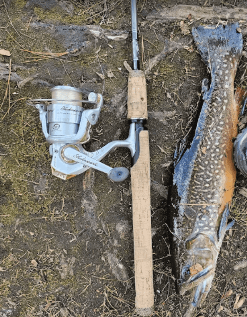 Fishing the Pond: What Lives Beneath the Surface Fishing the Pond: What Lives Beneath the Surface