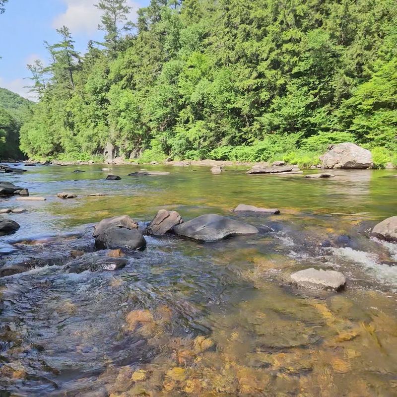 Fishing the Westfield River at the Gorge