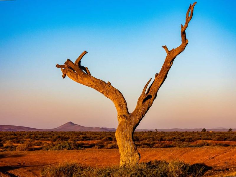 Flinders Ranges, Australia Flinders Ranges, Australia