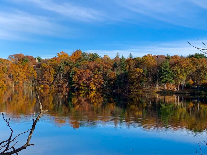 Flints Pond and the Natural Beauty That Frames Everything Flints Pond and the Natural Beauty That Frames Everything