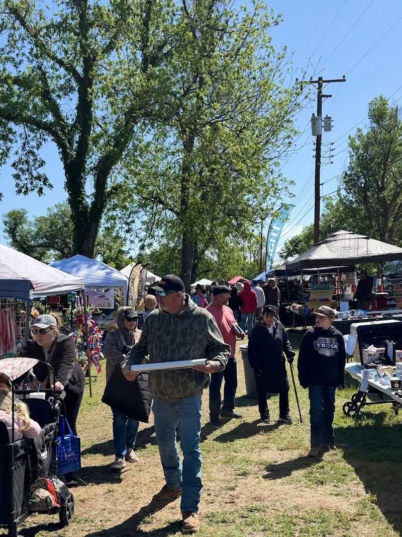 Food Trucks and Fresh Eats to Fuel Your Treasure Hunt