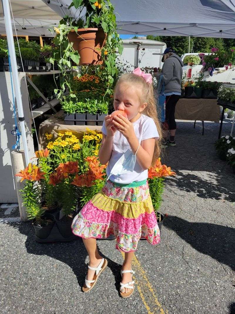 Food Trucks and the Kids Zone That Keep Families Happy Food Trucks and the Kids Zone That Keep Families Happy