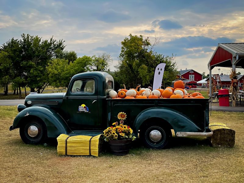 Food on the Farm: What to Expect at the Grill