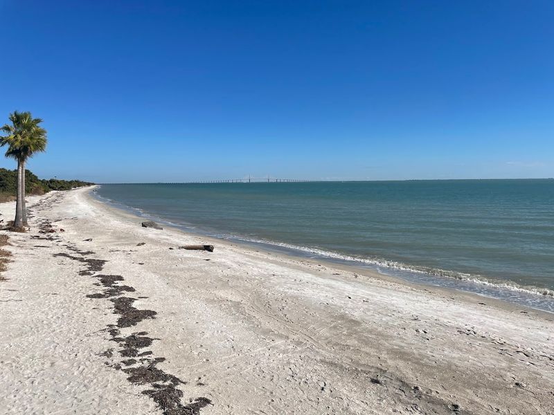 Fort De Soto Park Dog Beach, Florida