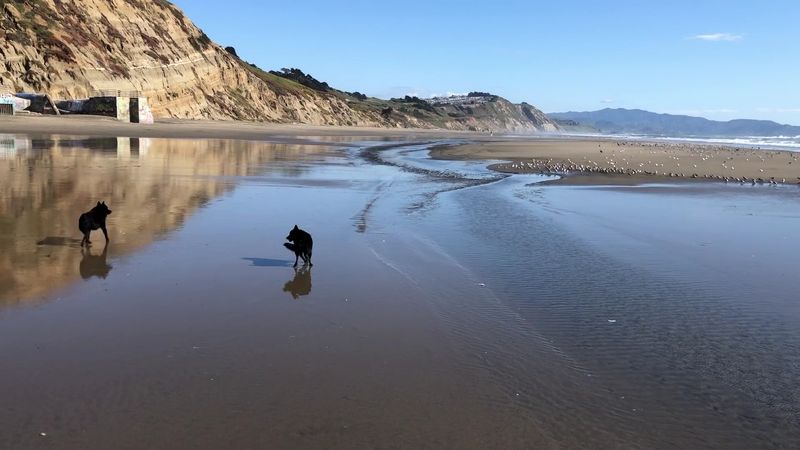 Fort Funston, San Francisco, California