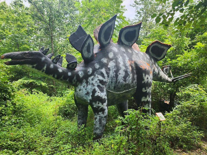 Forty Dinosaurs and Counting