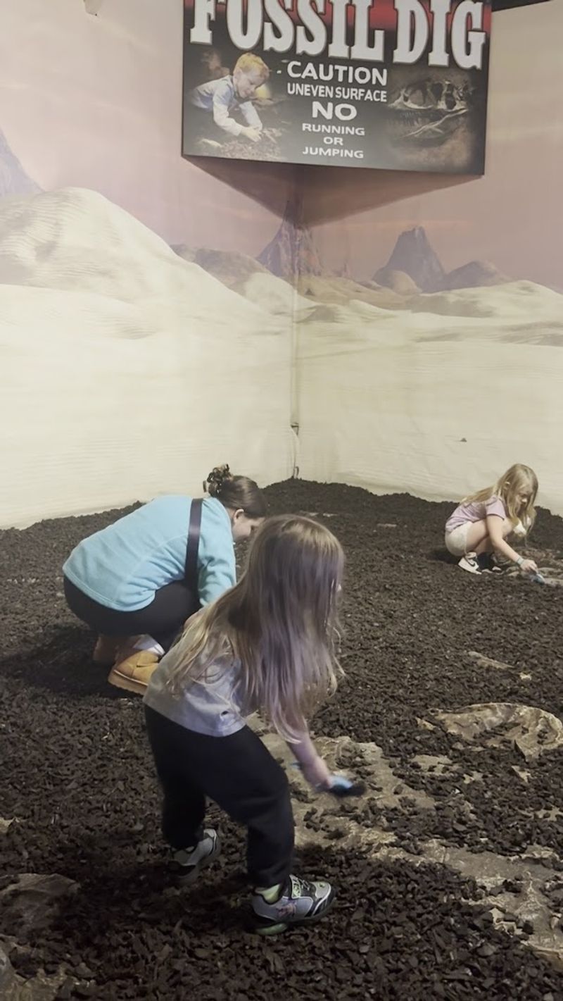 Fossil Dig Station for Aspiring Young Paleontologists Fossil Dig Station for Aspiring Young Paleontologists