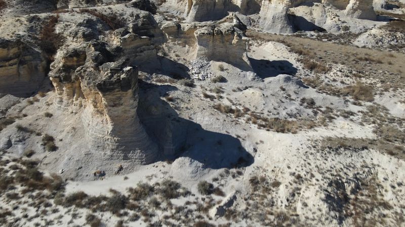 Fossils From the Ancient Sea Still Hiding in the Chalk Fossils From the Ancient Sea Still Hiding in the Chalk